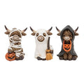 Three resin Highland cow figures dressed as a mummy, a ghost, and a hooded cloak with Halloween pumpkins